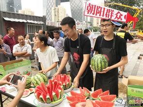 朝阳吃瓜网,揭秘娱乐圈最新热点,带你领略明星幕后故事